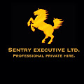 Sentry Executive